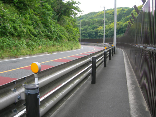 「あの満開のピンクと白の花は、二色気空木か箱根空木かそれが問題だ」_f0029921_2213160.jpg