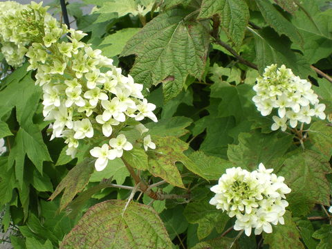 e0128024_13576100.jpg