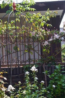 f0170524_20144590.jpg