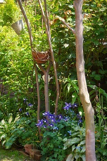 f0170524_2072898.jpg