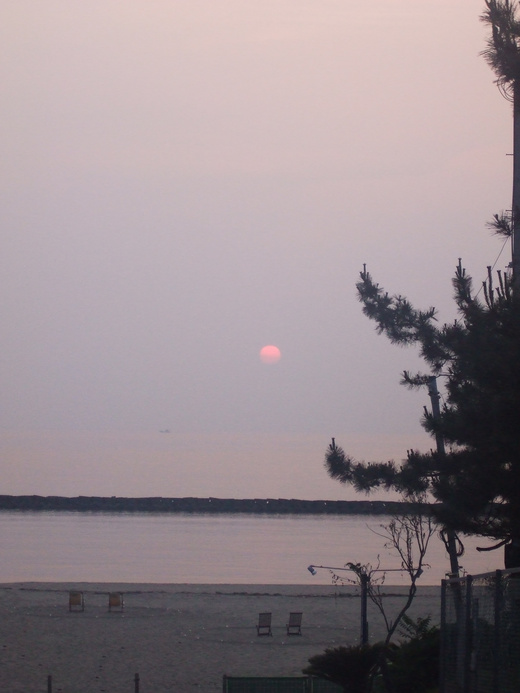 a0040929_2134814.jpg