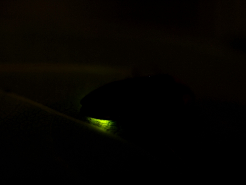 b0201233_22433485.jpg