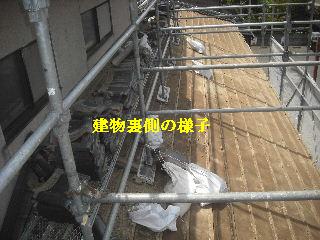 f0031037_21301681.jpg
