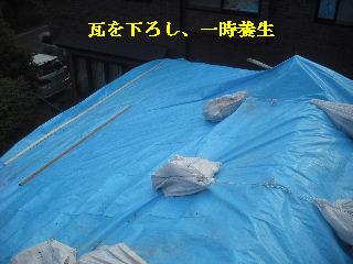 f0031037_21303862.jpg