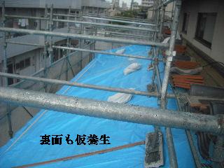 f0031037_2130478.jpg
