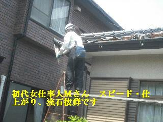 f0031037_2130982.jpg
