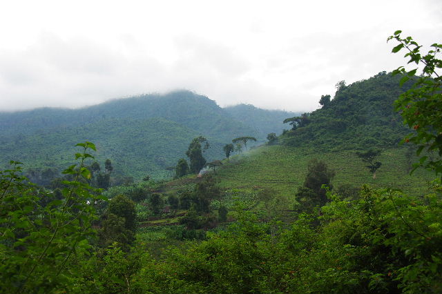 c0011649_016574.jpg