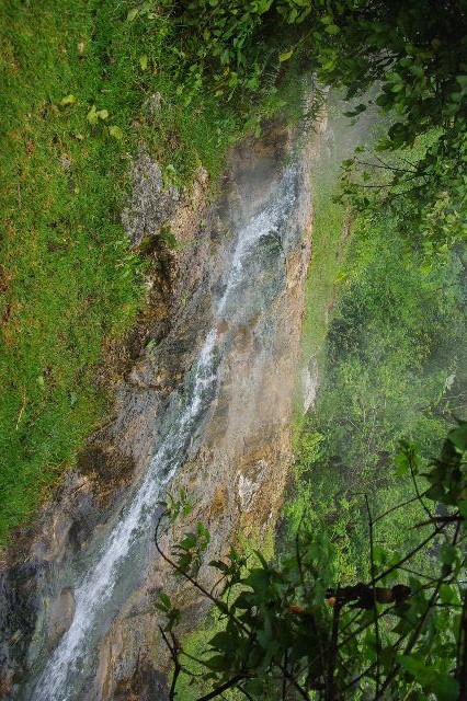 c0011649_0172733.jpg