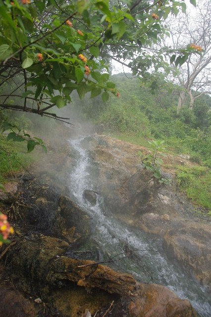 c0011649_017506.jpg