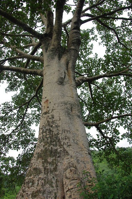 c0011649_0185820.jpg