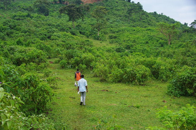 c0011649_055688.jpg