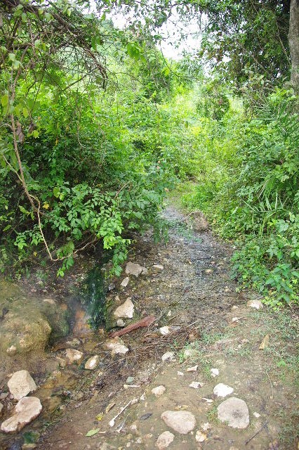 c0011649_094081.jpg
