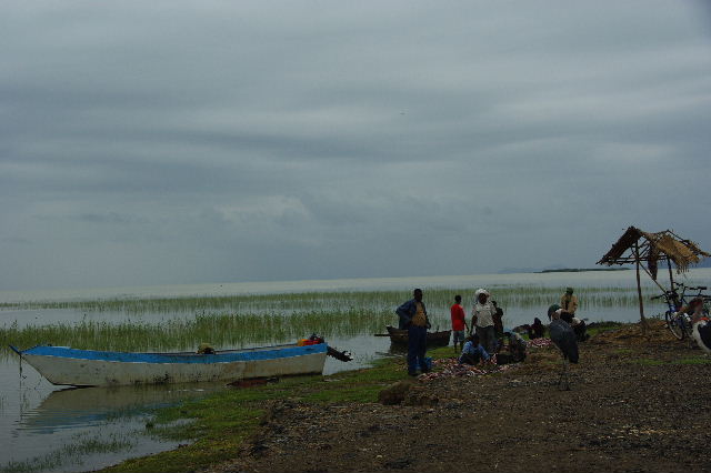 エチオピア(84) ズワイ湖の風景_c0011649_23502539.jpg