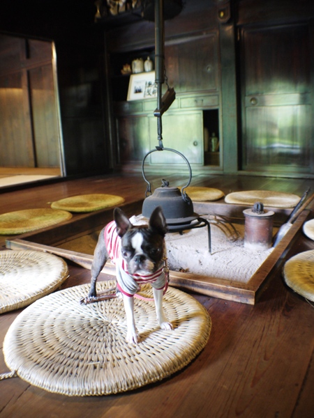 新緑のバースディ旅行（がんだて公園～下呂温泉編）_d0155952_16124076.jpg