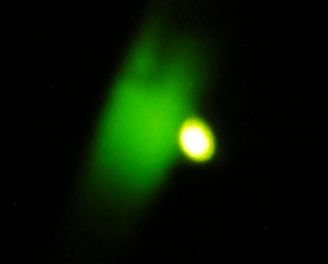 ホタル発見 in せんなん里海公園内うみべの森_c0108460_17552639.jpg