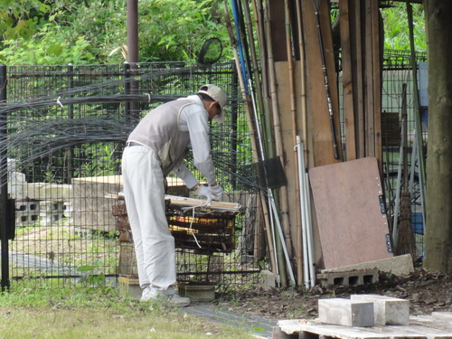 ささゆりまつり　in せんなん里海公園内うみべの森_c0108460_20431122.jpg