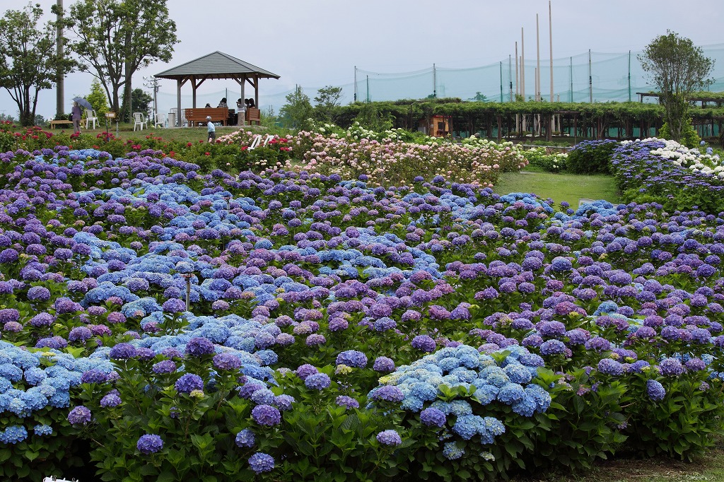 f0234862_24117.jpg