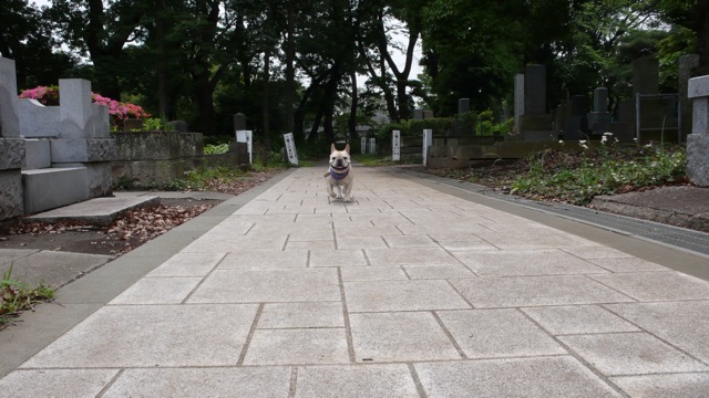f0143269_9334759.jpg