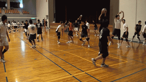第1655話・・・努力に辛抱の棒を立てる _c0000970_485352.gif
