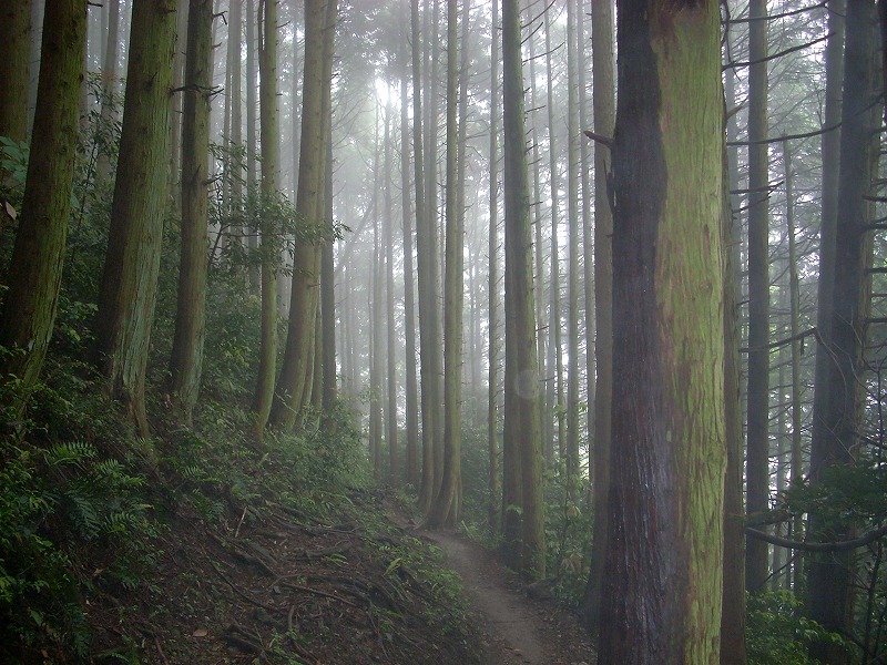 c0153173_626181.jpg