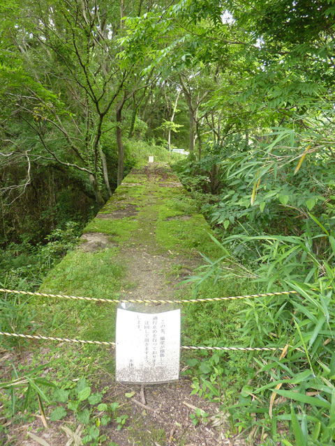 c0107075_1041255.jpg