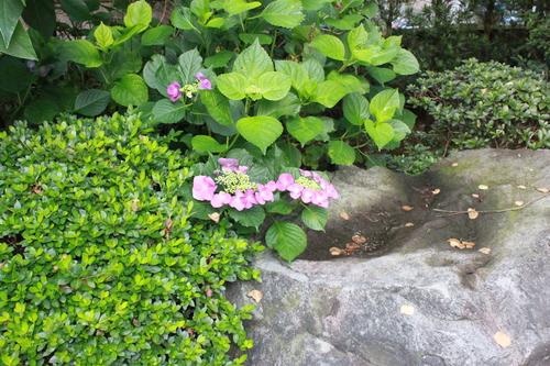 b0224178_2212322.jpg