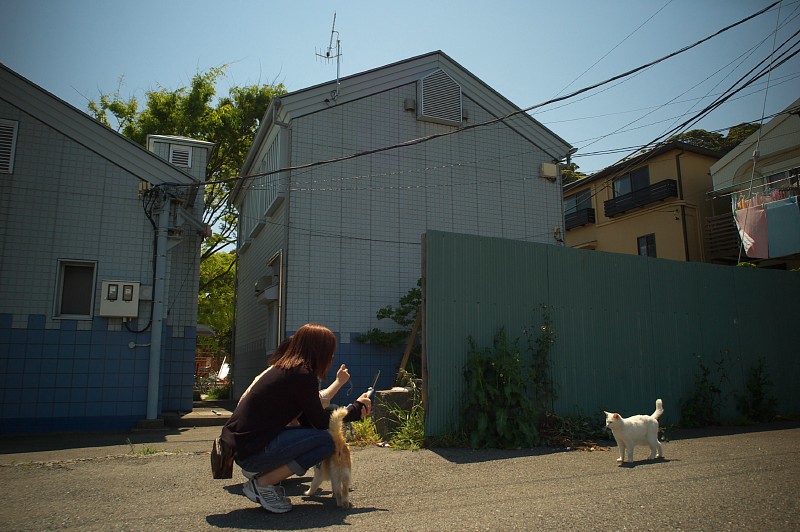 写真撮るときは_c0109780_21204937.jpg