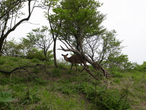 e0015490_94514.jpg