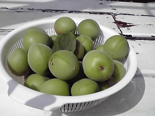 d0190794_15155034.jpg