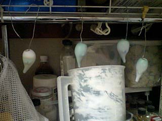 c0130996_158483.jpg