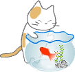 c0074000_21343164.gif