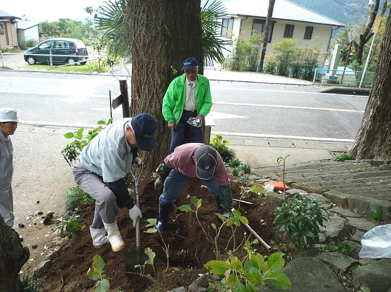 秦野・大日堂を芍薬の里に_f0162400_11274888.jpg