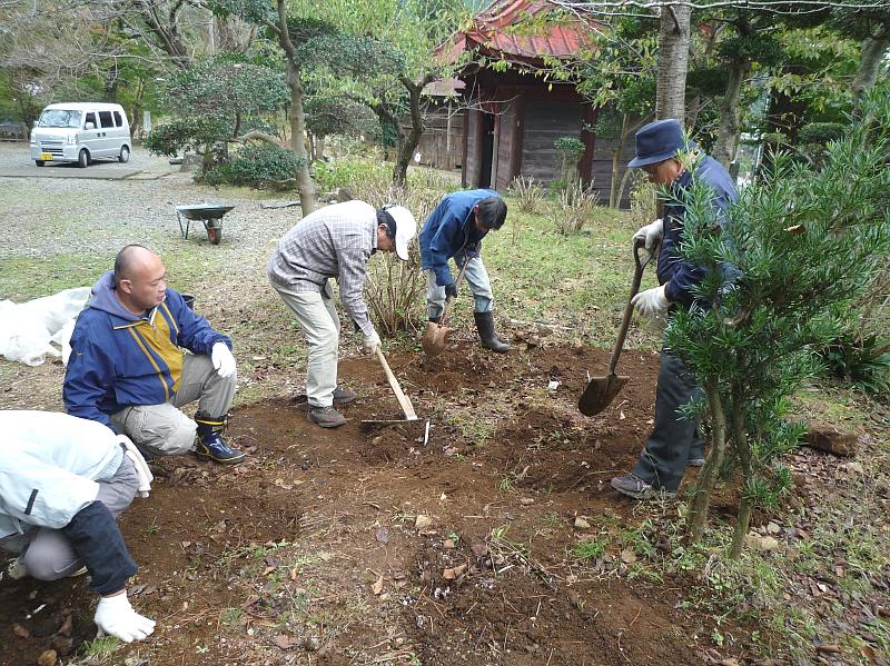 秦野・大日堂を芍薬の里に_f0162400_11282240.jpg