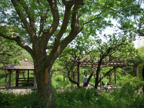 a0060003_18423912.jpg