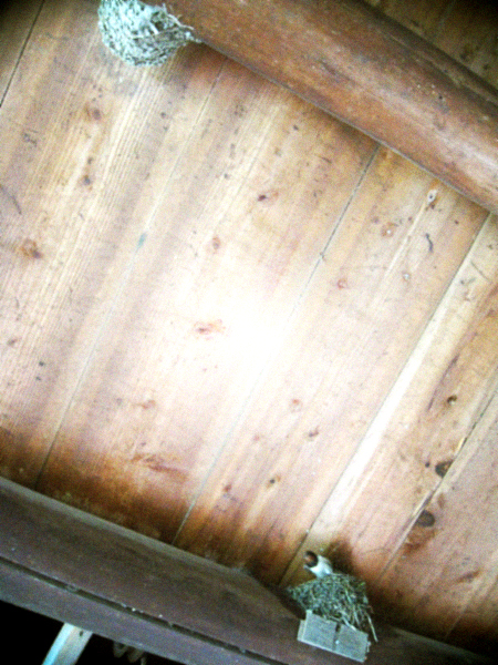 d0077603_6382265.jpg