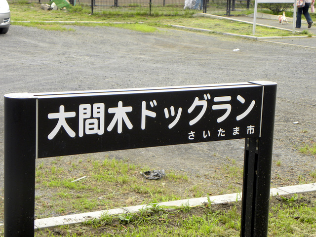 f0224506_16435897.jpg