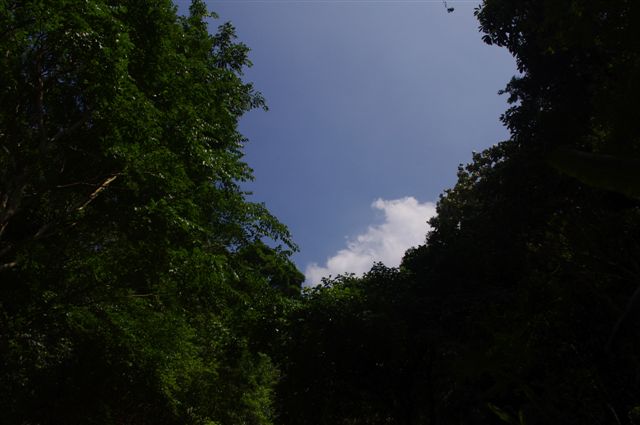 d0068807_9253276.jpg