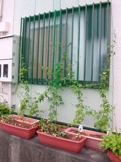 c0100110_14473613.jpg