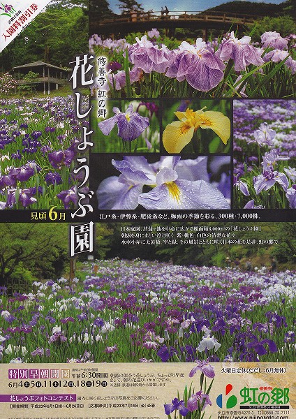 ６月は天城のホタルと修善寺の虹の郷の花菖蒲へどうぞ_f0182513_9164163.jpg