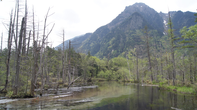f0233414_95444.jpg