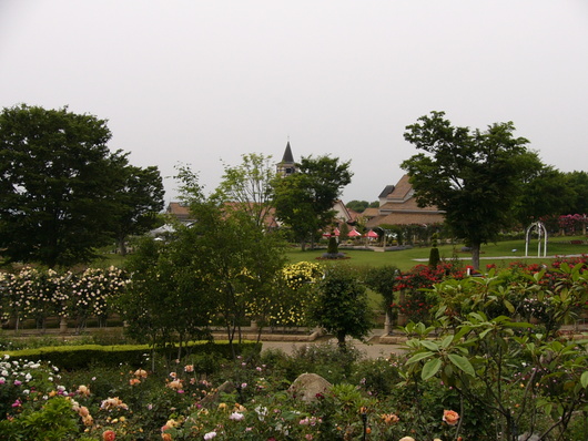 d0183417_22322793.jpg