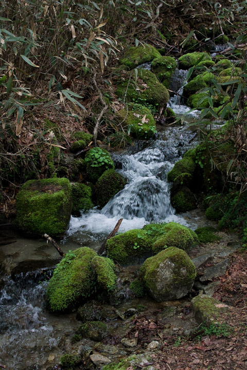 e0051018_029299.jpg