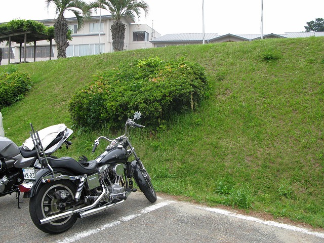 梅雨になってしまいましたね、、、_a0110720_12411394.jpg