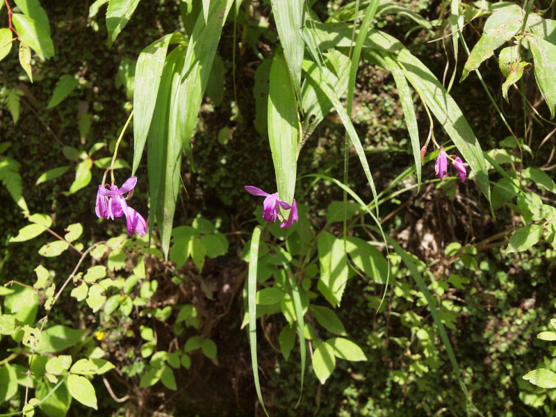 c0085622_21453953.jpg