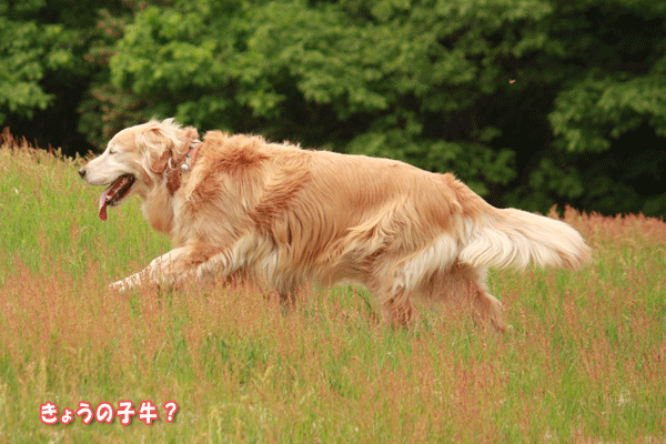 f0203423_20341544.gif