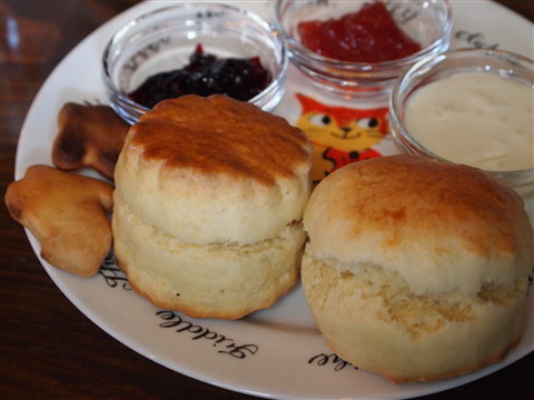 b0147224_1165344.jpg