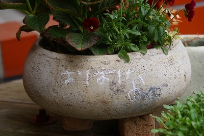 f0170524_16245111.jpg