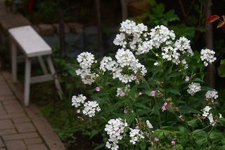 f0170524_16343077.jpg