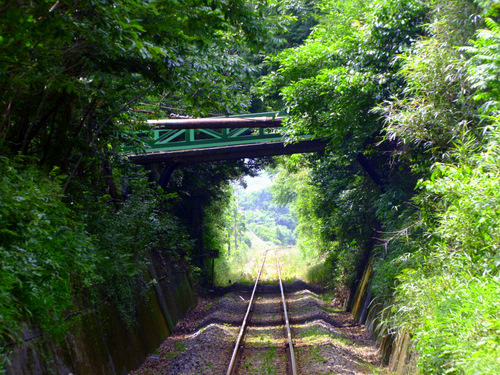 「静岡 浜松・三ケ日 天竜浜名湖鉄道の旅」_a0000029_10553427.jpg