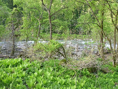 e0198329_965770.jpg